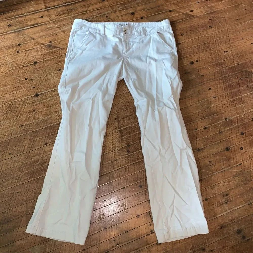 American Eagle tan lightweight flat front 14 straight leg pants